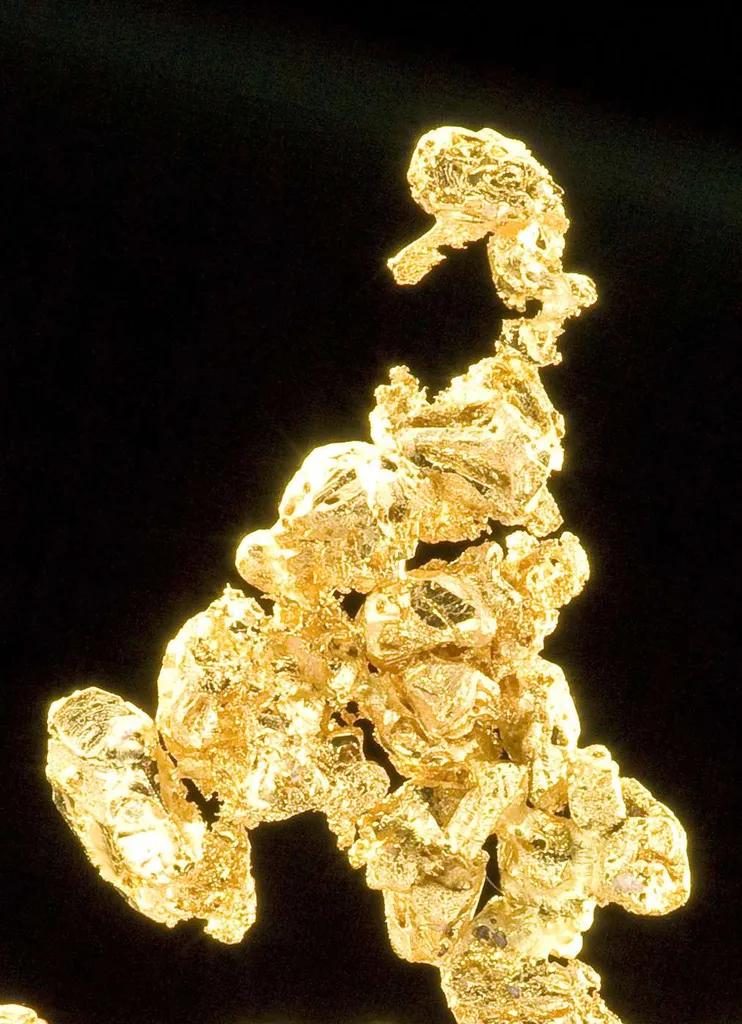 Gold image