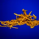 Gold - image 2