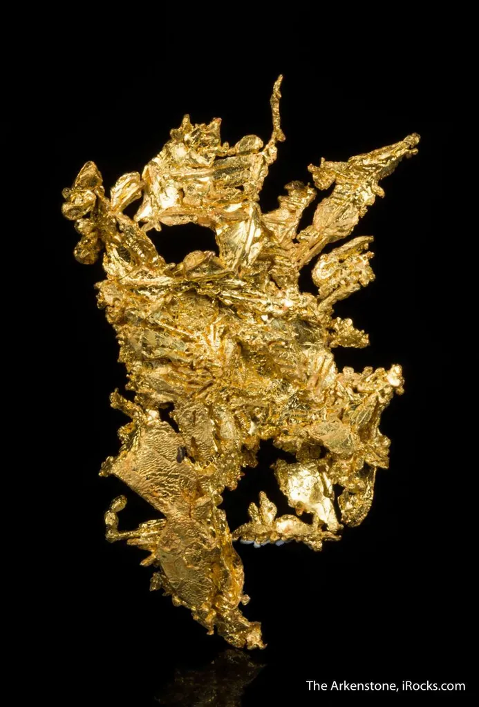 Gold - image 2