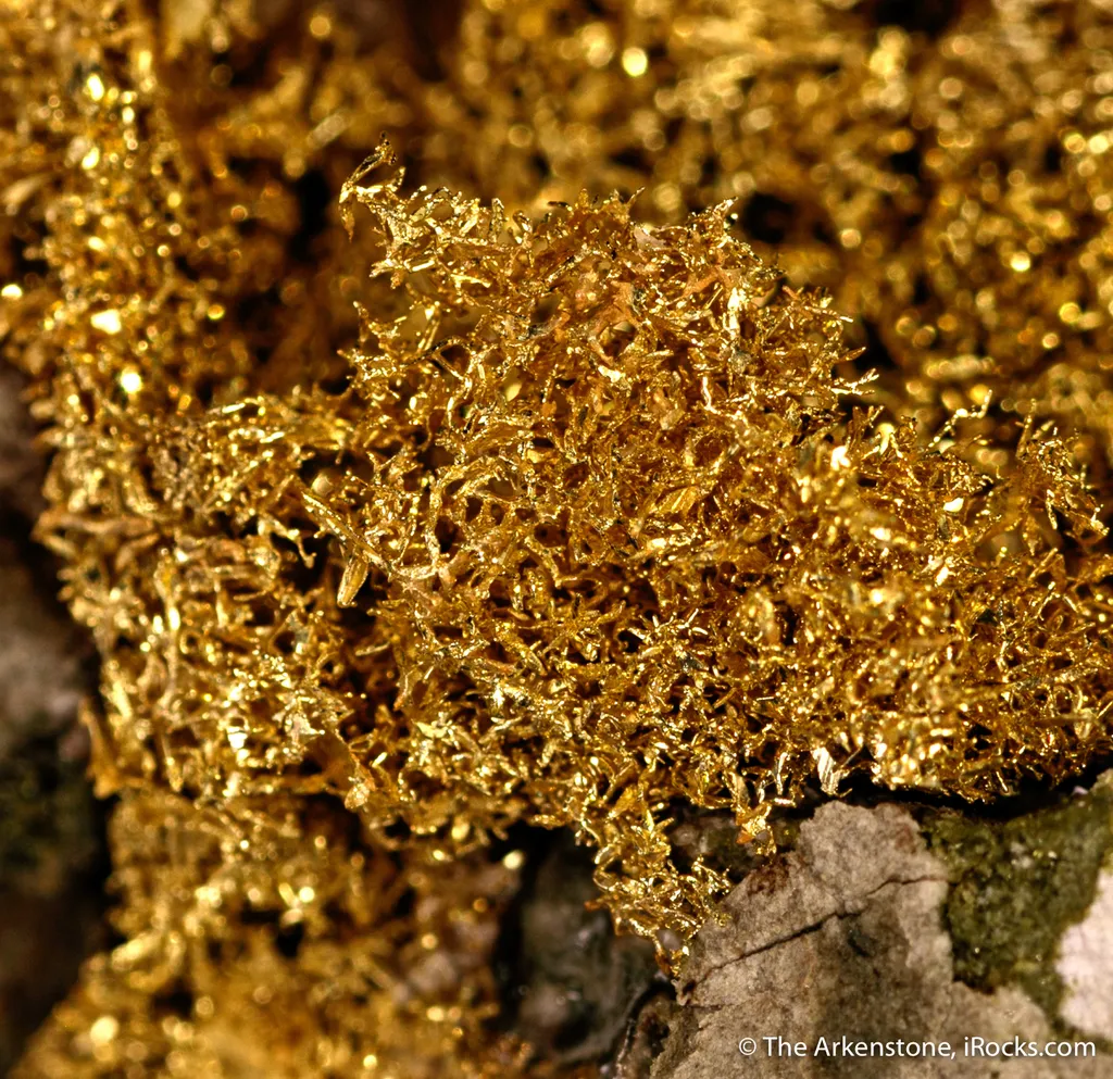 Gold - image 8