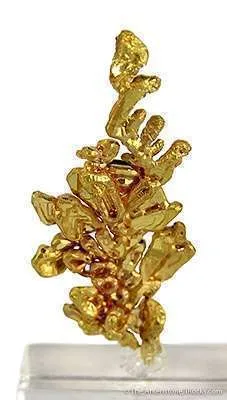 Gold - image 3