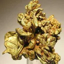 Gold - image 3
