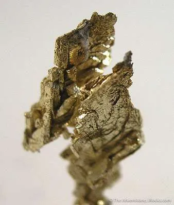 Gold - image 2