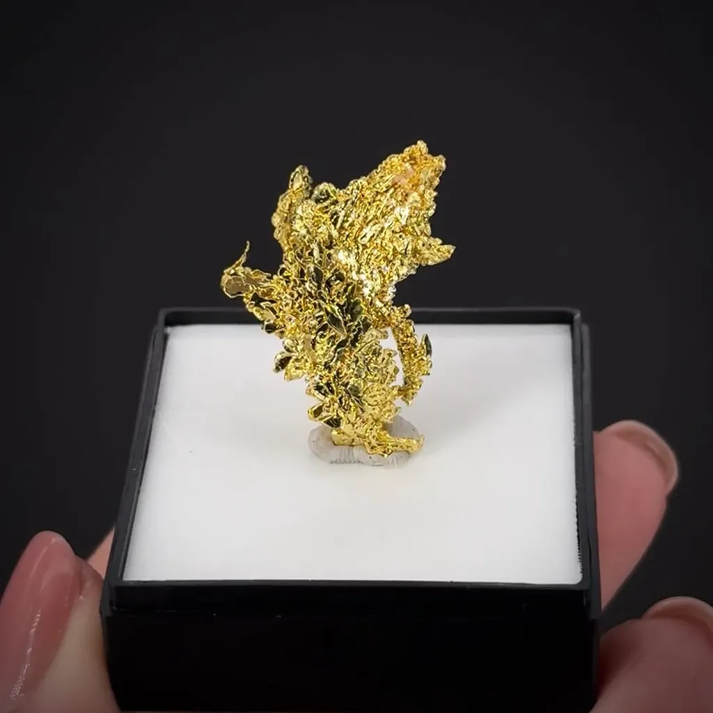 Gold - image 2