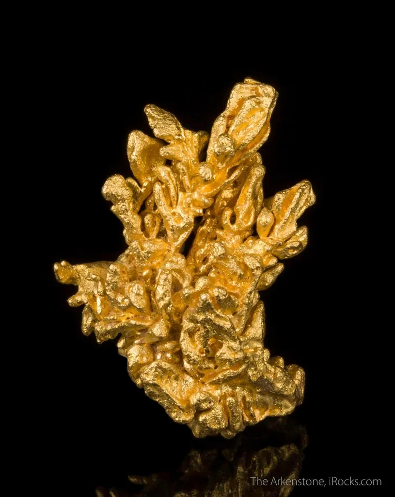 Gold image