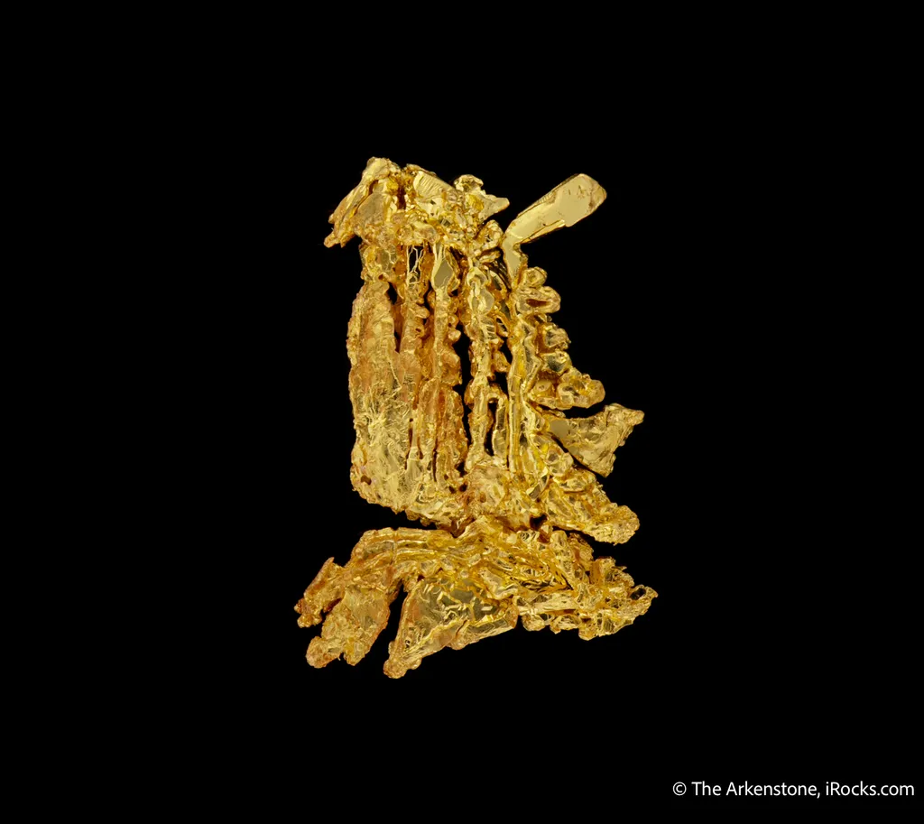 Gold - image 5
