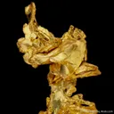 Gold - image 1