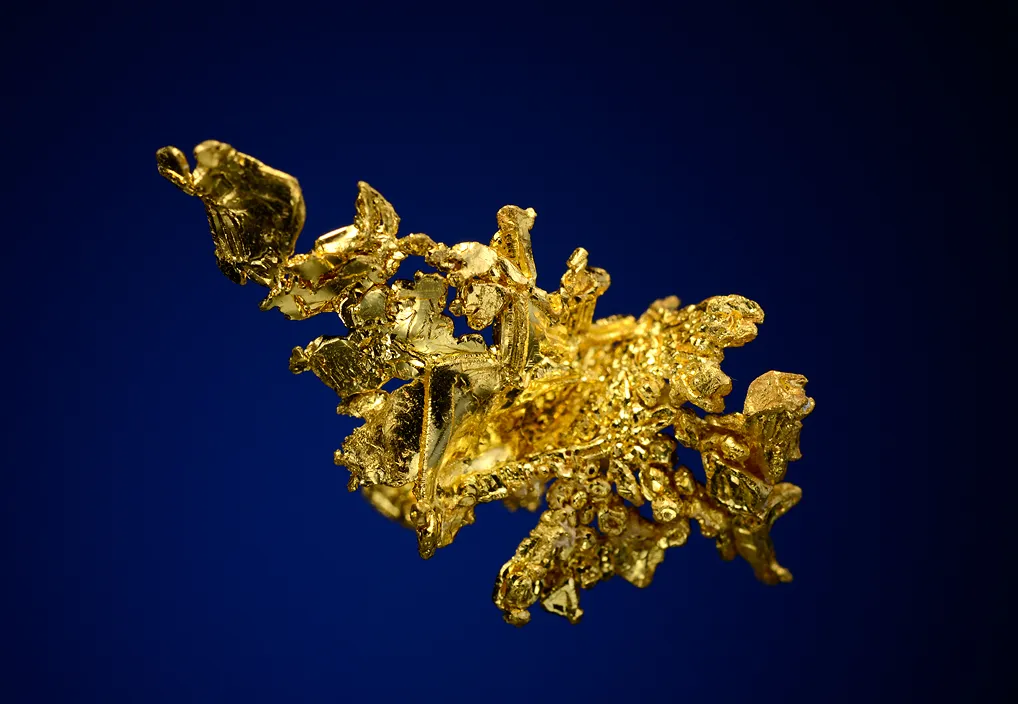 Gold - image 3
