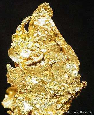 Gold image