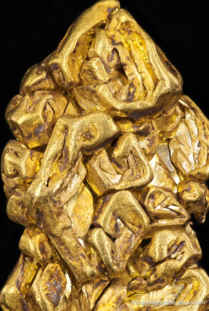 Gold - image 2