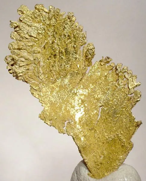 Gold image
