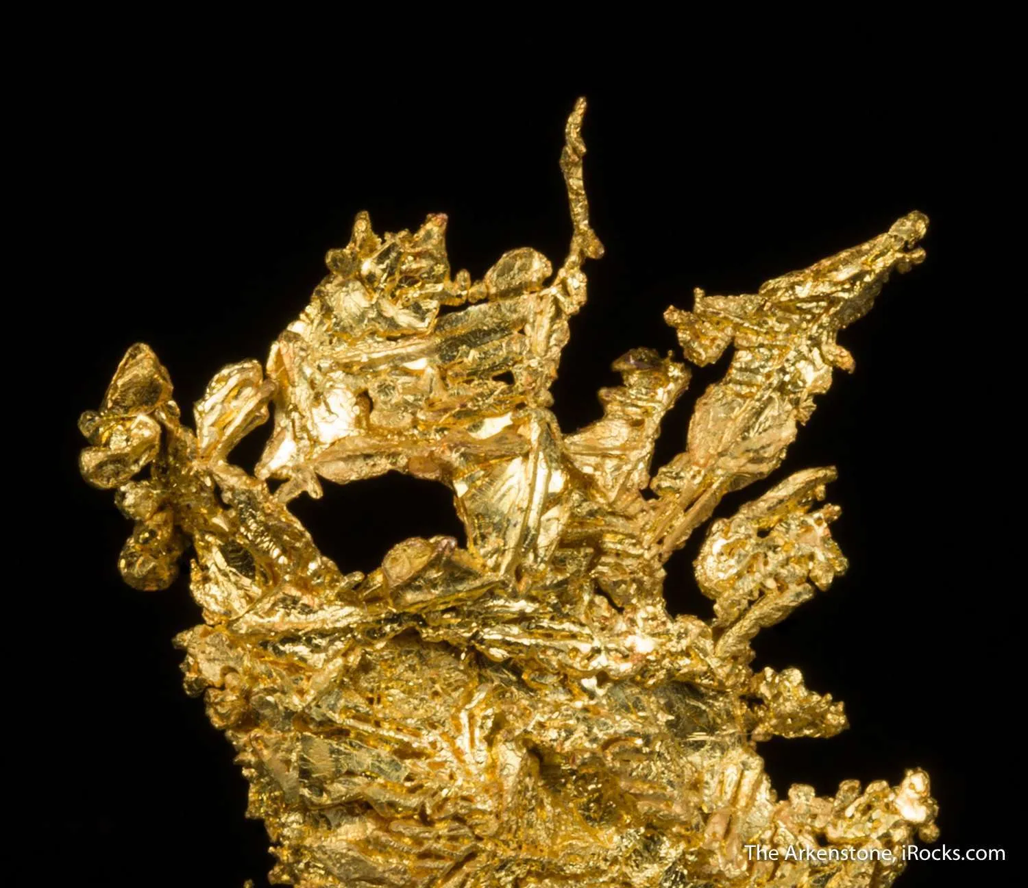 Gold - image 3