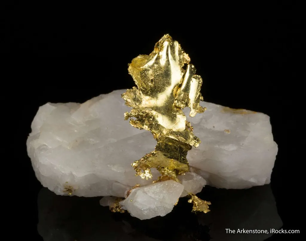 Gold - image 2