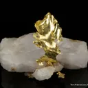 Gold - image 2