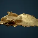 Gold - image 4