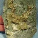 Gold, Calcite - image 1