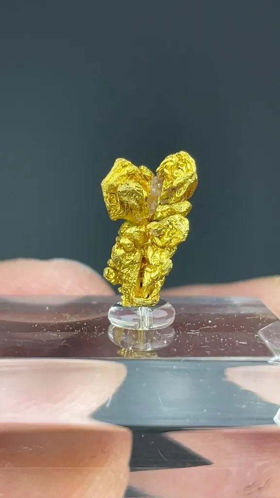 Gold - image 2