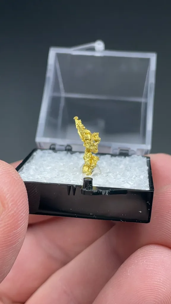 Gold - image 2