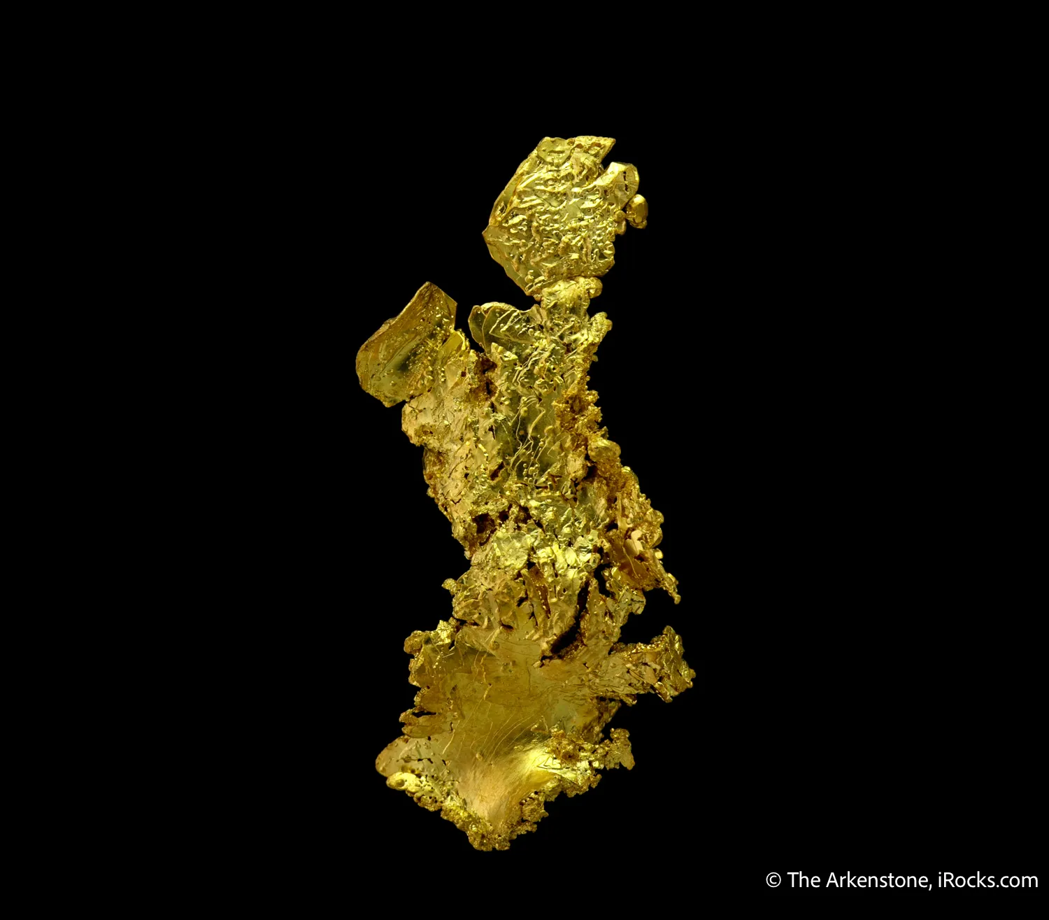 Gold - image 5