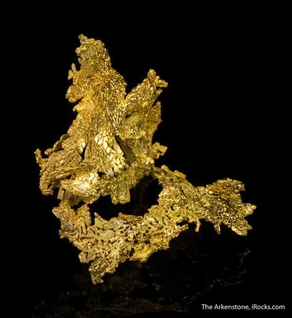 Gold - image 3