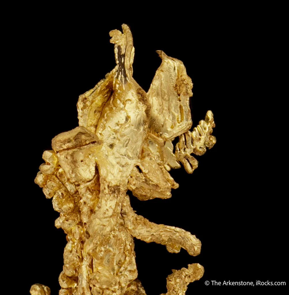 Gold - image 7