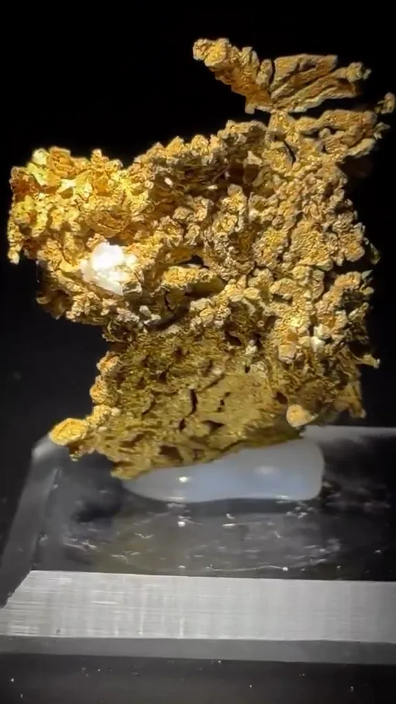Gold - image 3