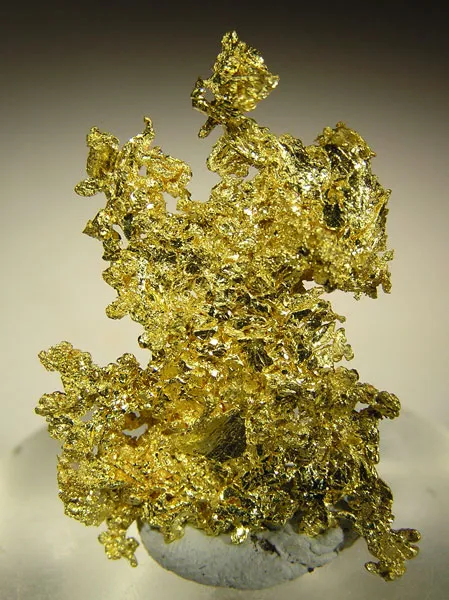 Gold image