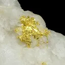 Gold, Chlorite Group, Quartz - image 2