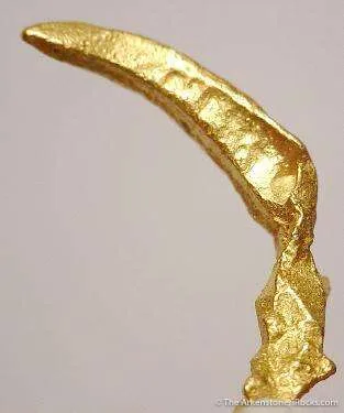 Gold Claw - image 3