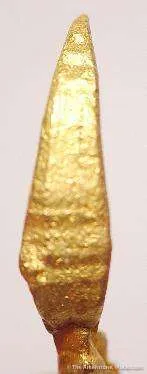 Gold Claw - image 2