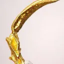 Gold Claw - image 1