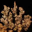 Gold, Copper - image 2