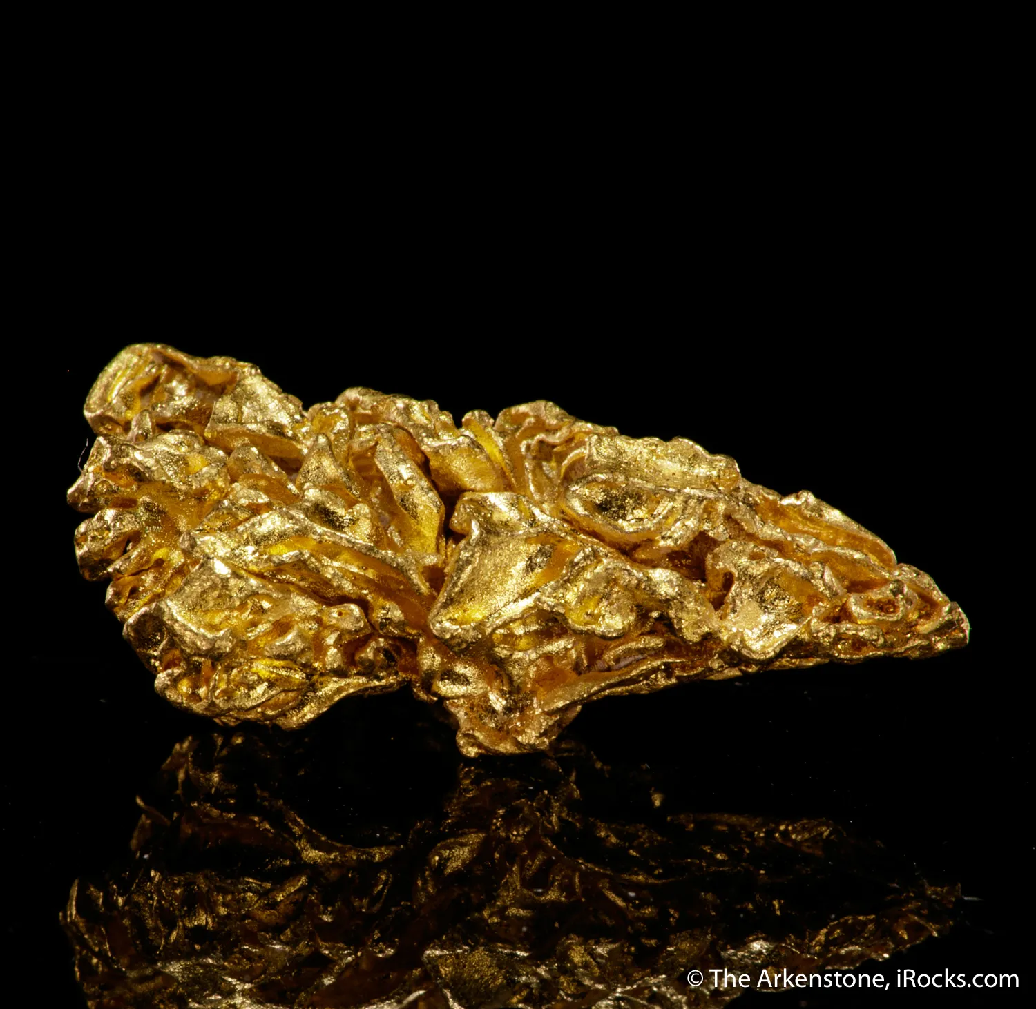 Gold (Cover Specimen) - image 5