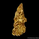 Gold (Cover Specimen) - image 6