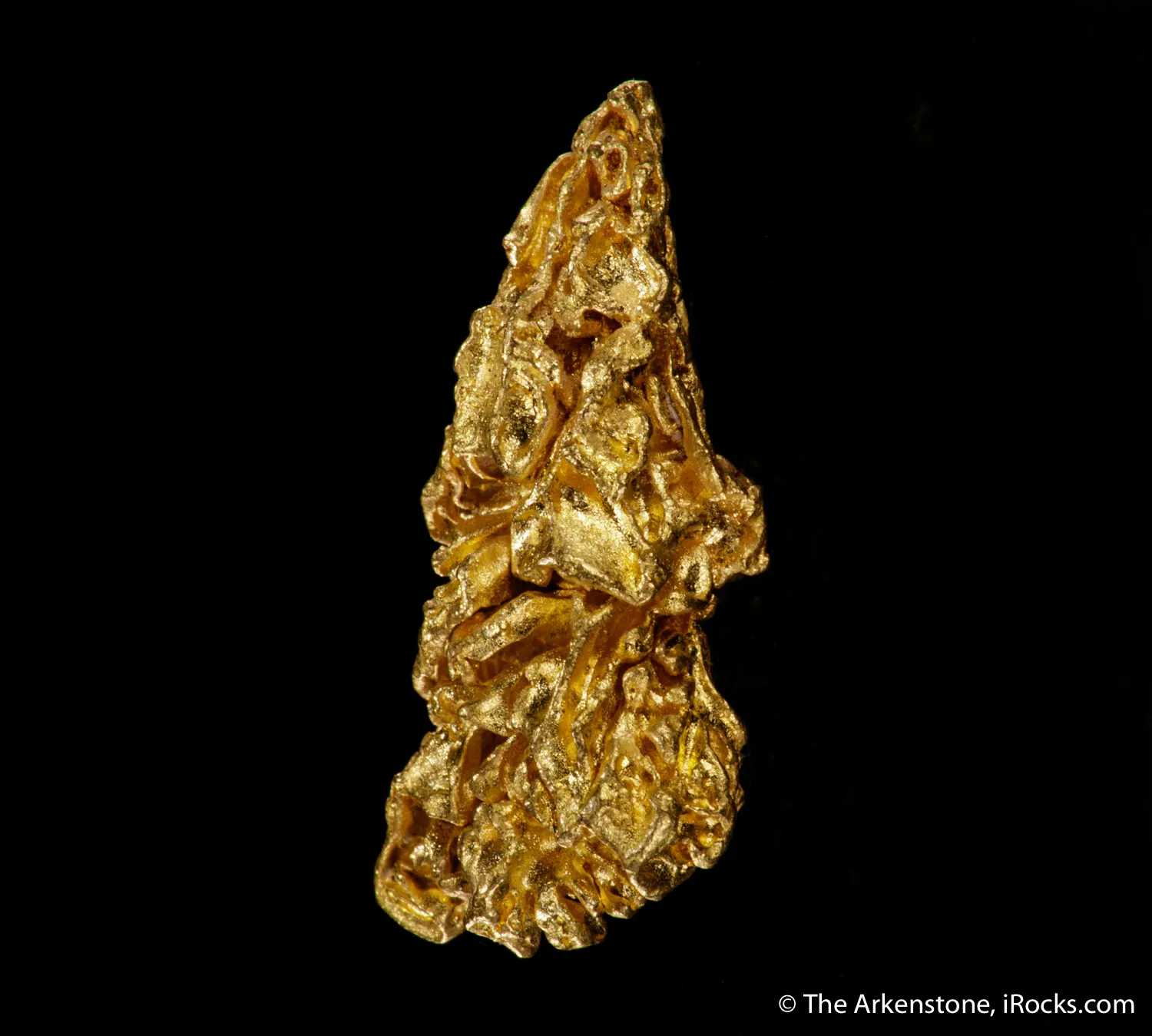 Gold (Cover Specimen) - image 6