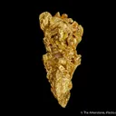 Gold (Cover Specimen) - image 4