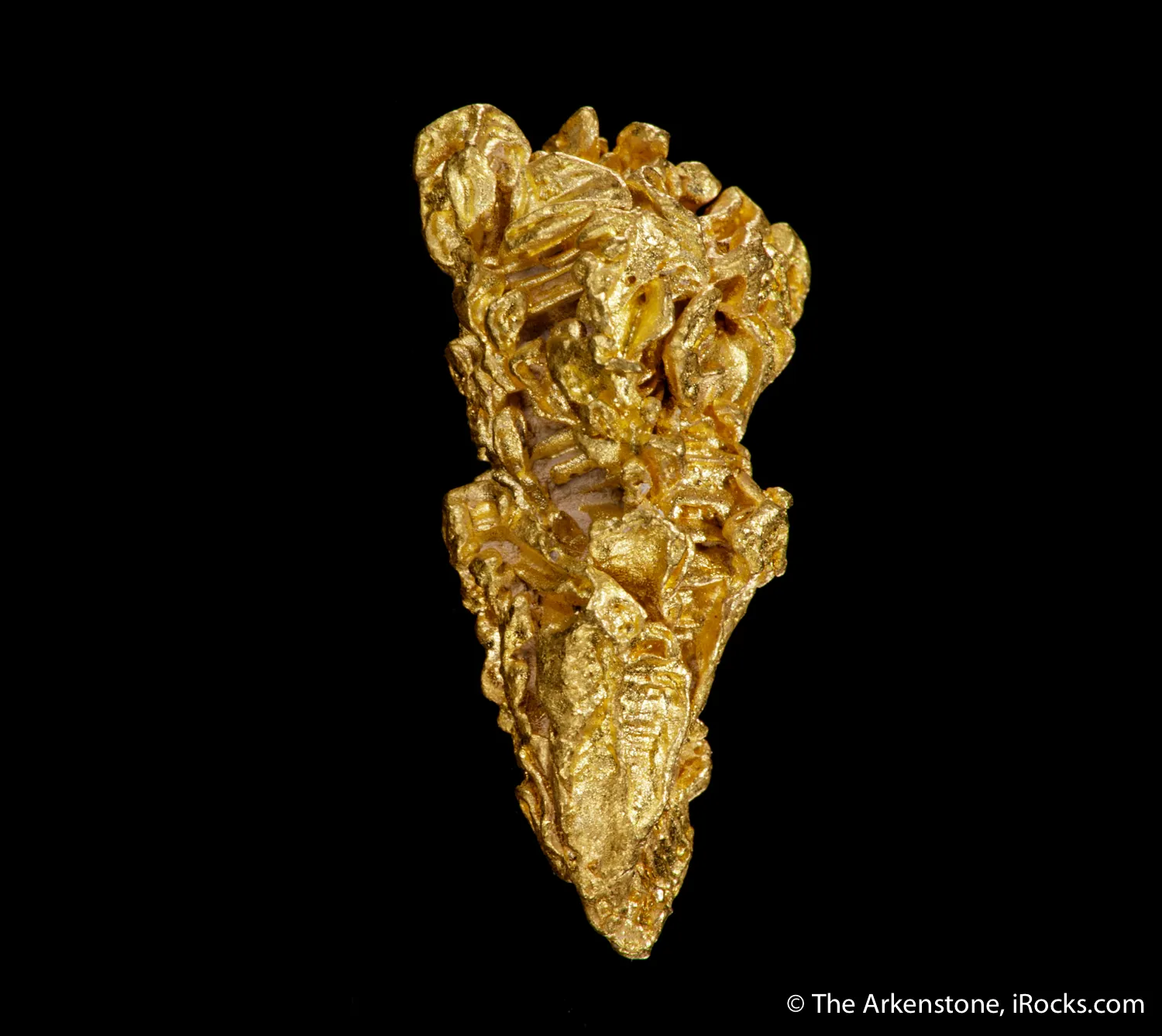 Gold (Cover Specimen) - image 4
