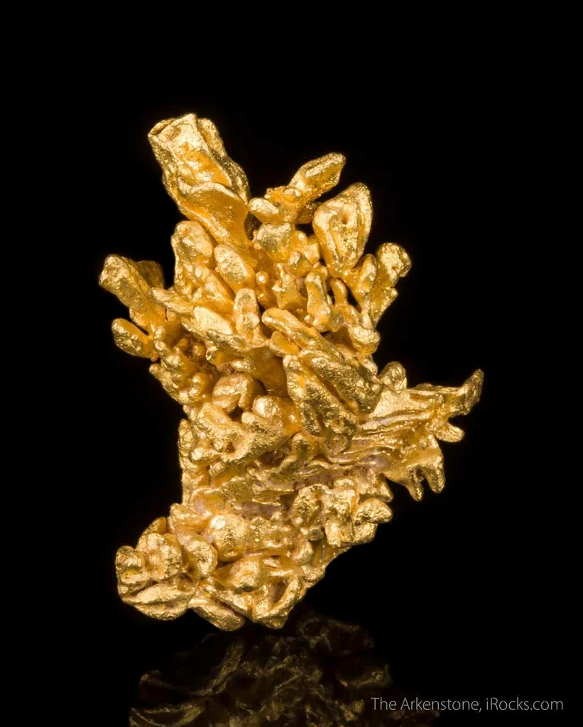 Gold - image 3