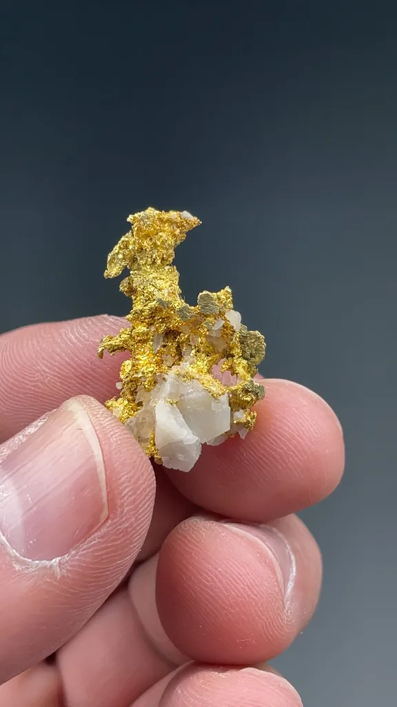 Gold - image 2