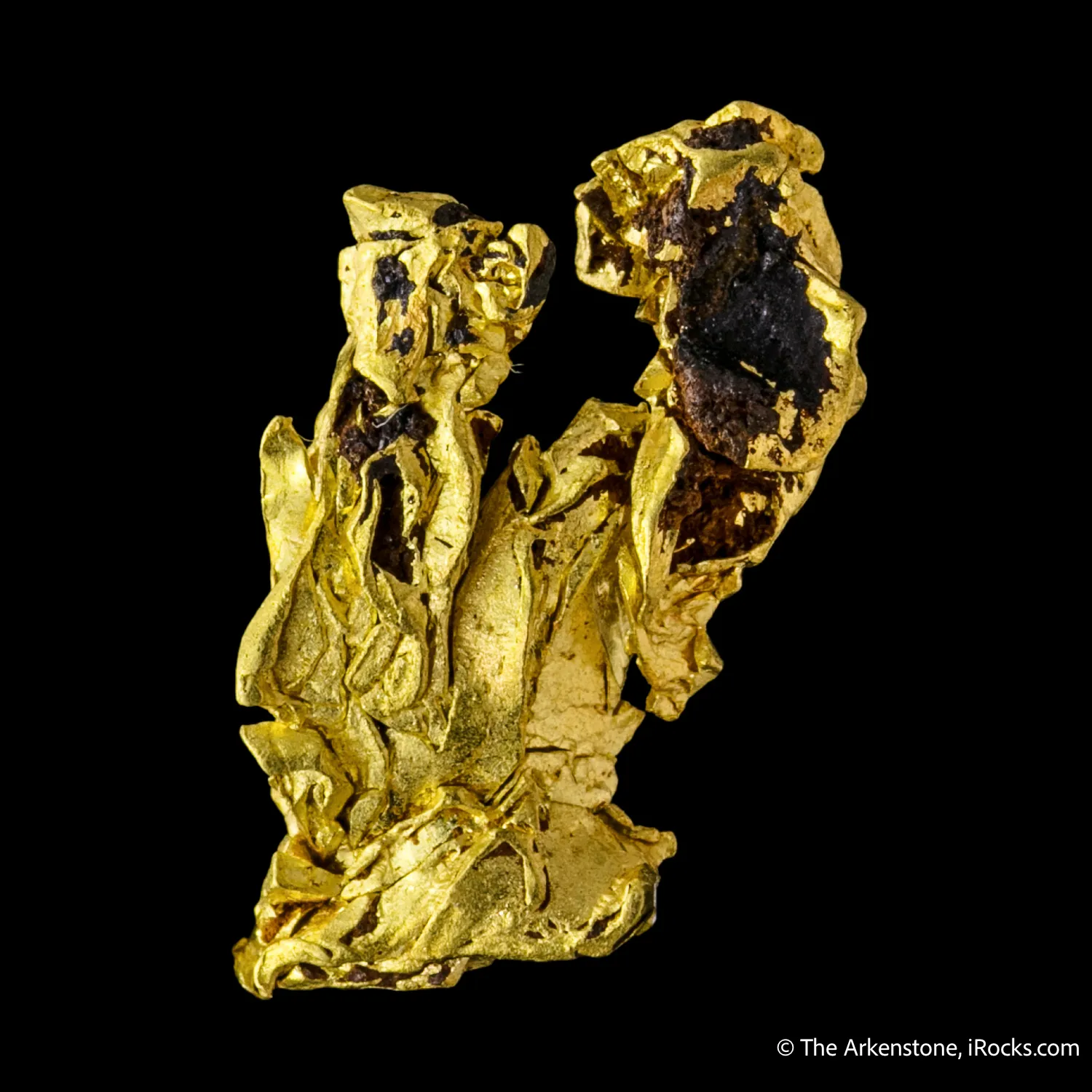 Gold - image 6