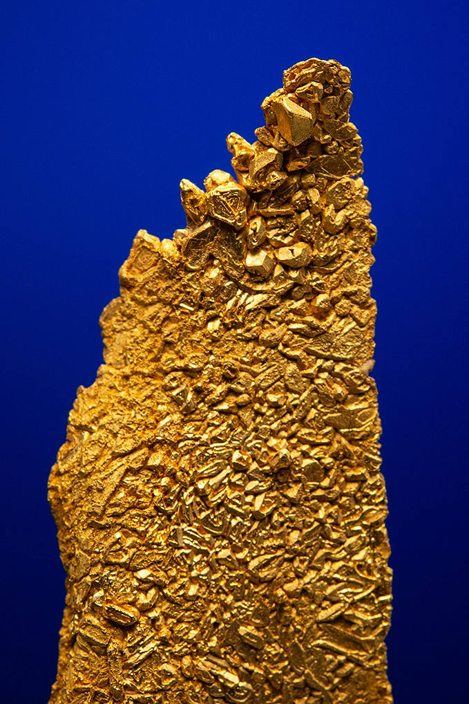 Gold - image 2