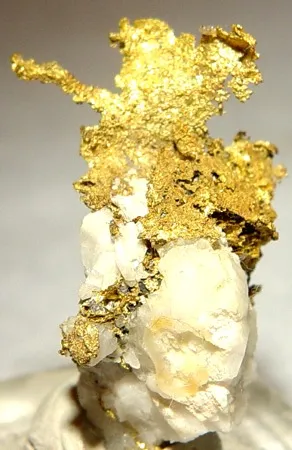 Gold image
