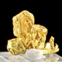 Gold - image 3