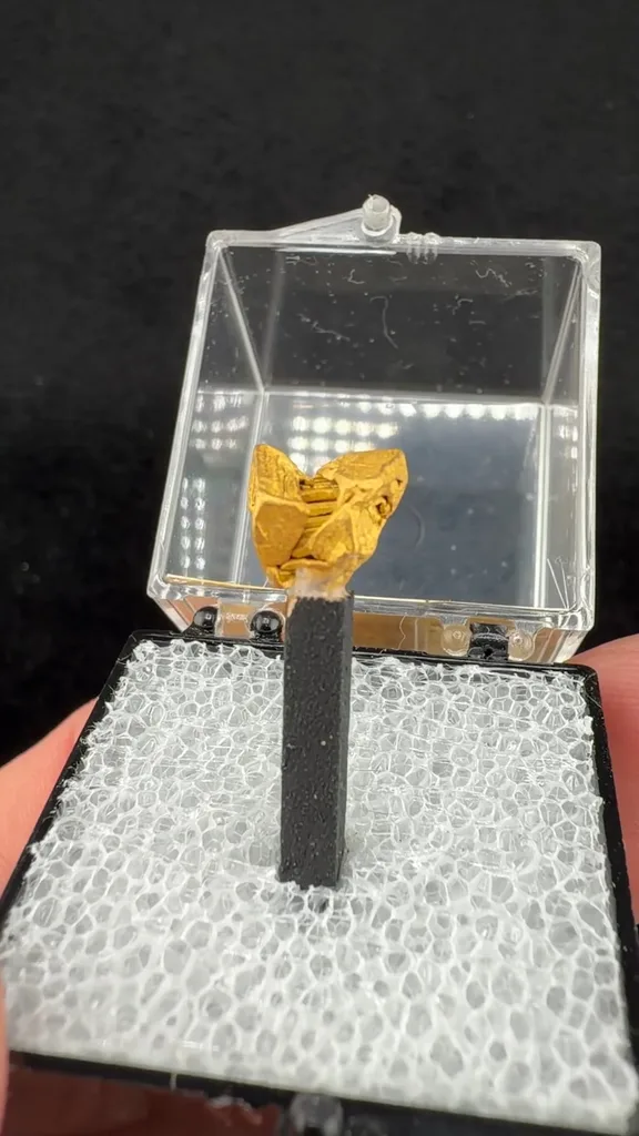 Gold - image 2