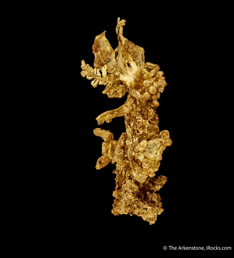 Gold - image 5
