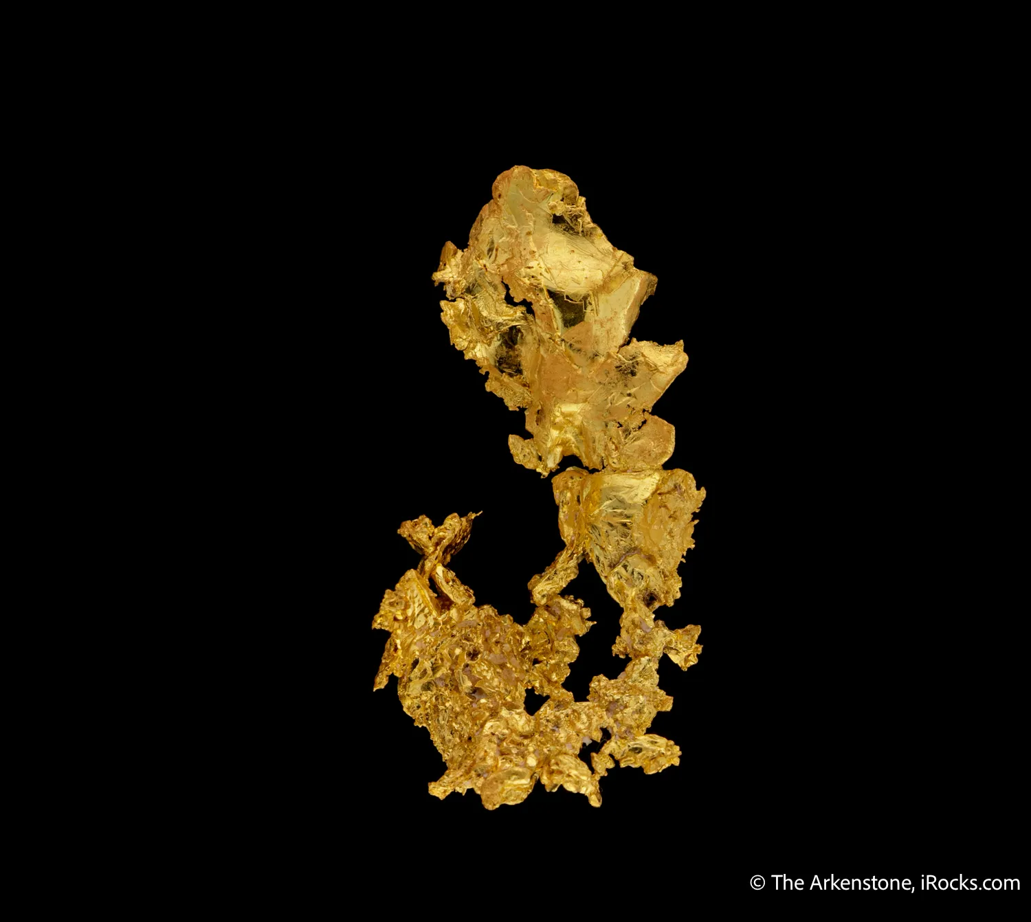 Gold - image 5