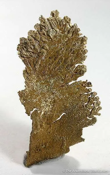 Gold image