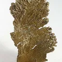 Gold - image 1