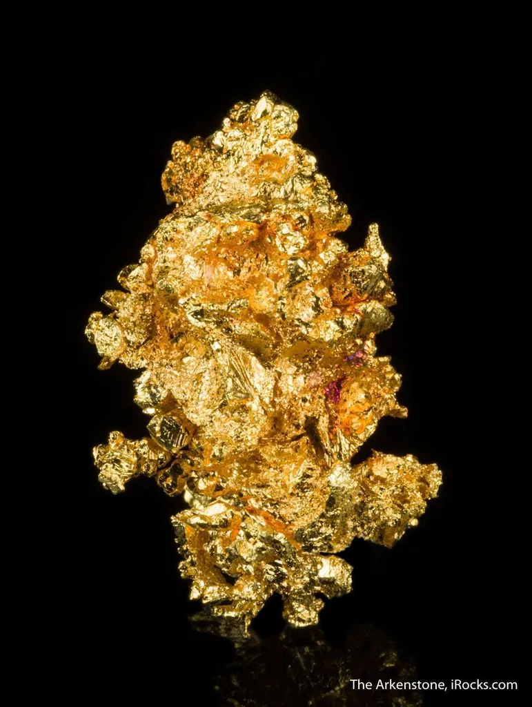 Gold - image 4