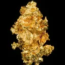 Gold - image 4